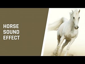 Horse sound effect - Neighing Horse and Galloping Horse