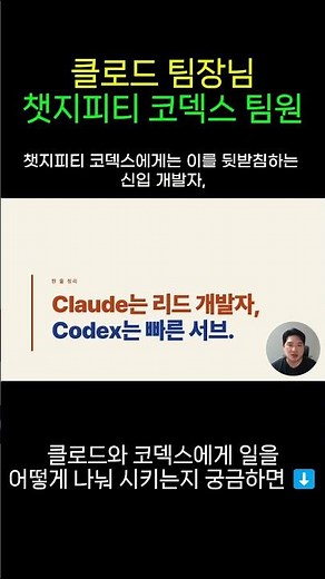 클로드코드 팀장 + 코덱스 팀원으로 활용하기 | 클로드 코드 활용 | 클로드 코덱스 비교 | 클로드 토큰 절약 | 챗지피티코덱스