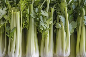 What Is The Difference Between A Celery Stalk And A Celery Rib?