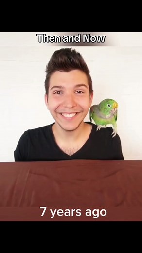 Nikocado Avocado Fan USA on TikTok