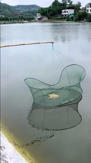 Master the Art of Net Fishing - Catch Fish Like a Pro
