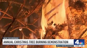 🎄🔥 A striking video shows it only takes seconds for an entire tree to go up in flames. Here are tips for preventing fires during the holidays. http://nbc4dc.com/ieDGoe6 | NBC Washington