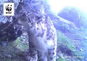 4.8K reactions · 1K shares | Urgent action is needed: More than a...