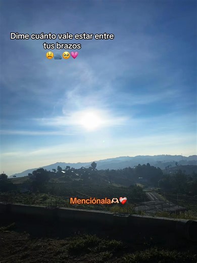 Dime cuánto vale estar entre tus brazos
