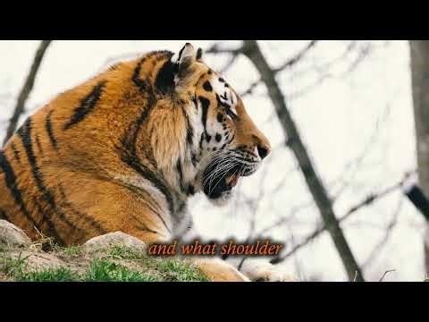 The Tyger by William Blake