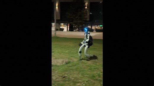 Video. Humanoid robot chases wild boars in the Polish capital Warsaw