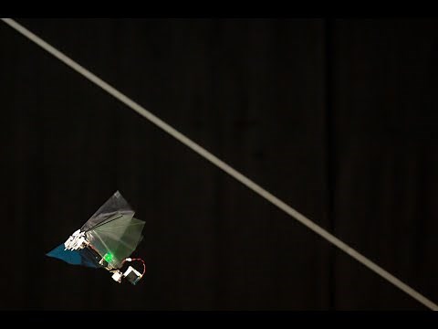 DelFly Nimble - an agile insect-inspired robot