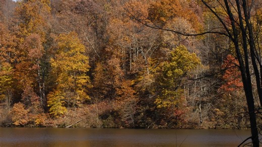 Where to see the best fall foliage in Ohio