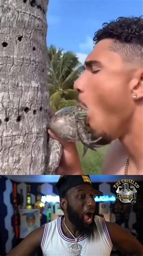 What Did He Just Do To That Kermit