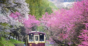 Voyager en train au Japon, un slow travel à travers l'archipel