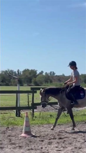 une promenade #horse #equestrianjumping #horsejumping #chevaux #pony #horseriding #france #flop