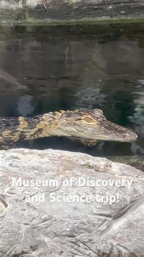 Museum of Discovery and Science (MODS)! #travelwithkids