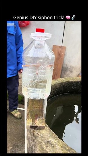 Genius DIY siphon trick! 🧠🚰