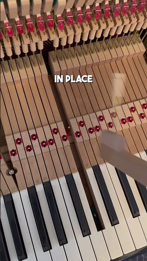 piano tuning and fixing a broken key