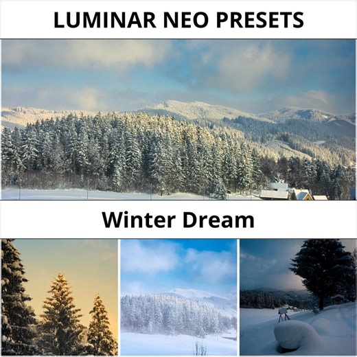 5 Winter Luminar Neo Presets for Winter Landscape Editing | Snow Photography Pack | Digital Download - Etsy Australia