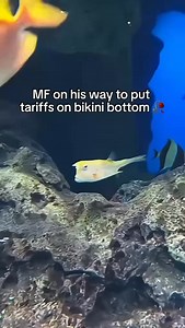 166K views · 1.8K reactions | Nooo | PoLITical Compass Memes | Facebook