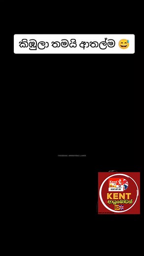 #kentapiuk@highlight Jayantha Kent Api Kent Api UK - Page -කෙන්ට් අපි UK Prema Jayantha Hewa Anusha Wijetungakoralage Don KENT API UK - Healthy & Delicious Cooking #SinhalaMusic #SinhalaSongs #srilanka #sinhalacoversong | Jayantha Kent Api