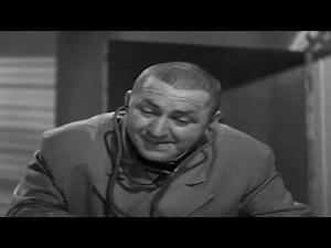 The Three Stooges 🔴 Dizzy Doctors 🔴 The Three Stooges Full Episodes #1080p