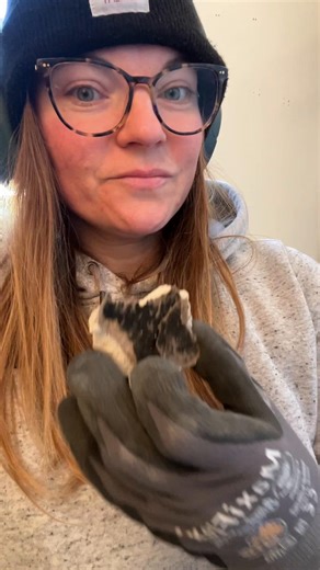 Demo Day 2: Flood Cut. Floors and shower pan were removed by my contractor. #fyp #diy #bathroom #demo #designer