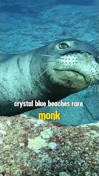 Discover Hawaii Island Facts That Will Blow Your Mind