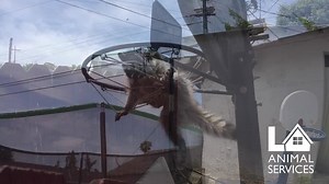 1K views · 34 reactions | A call came in on July 5th for a young...