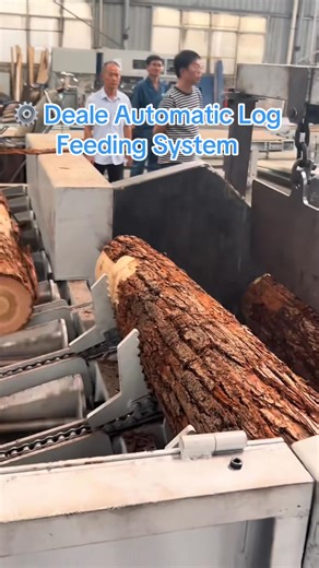 120K views · 544 reactions | Logs climb up automatically and feed one by one — no manual lifting, fully automatic, safe and efficient! #DealeSaw #Woodworking #AutoFeeding #SmartMachinery #HighEfficiency | Deale Sawmill Machinery | Facebook