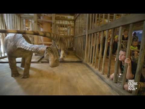 See inside the controversial life-sized Noah's ark replica