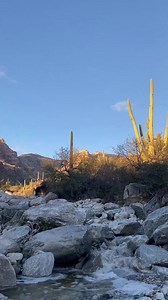 5.8K views · 884 reactions | ASMR is the term for the sensation people get when they watch stimulating videos or take part in other activities — usually ones that involve personal attention. Many people describe the feeling as “tingles” that run through the back of someone’s head and spine. Others say the feeling is deeply relaxing, and can even cause them to fall asleep. Repost: @wesahs_ . . #tucson #arizona #asmr #water #desert | Visit Tucson | Facebook