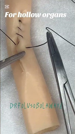 Lembert suture pattern #vetstudent #vetschool #invertingsuture #holloworgans #vetsurgery #surgeons