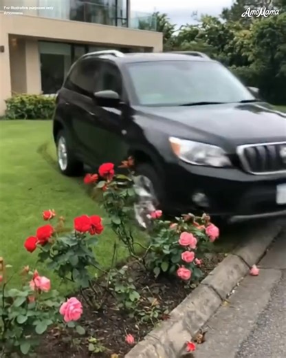 6.7K views · 8 comments | My neighbor keeps driving over my lawn as a 'shortcut' to her yard and RUINS EVERYTHING! Threats to call the police don't work. What should I do? | Love Video Quotes | Facebook