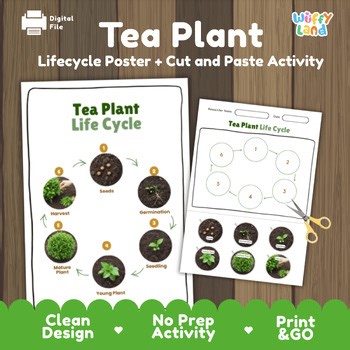Tea Plant Life Cycle Plant Growth Activity Botany Science Cut & Paste Worksheet