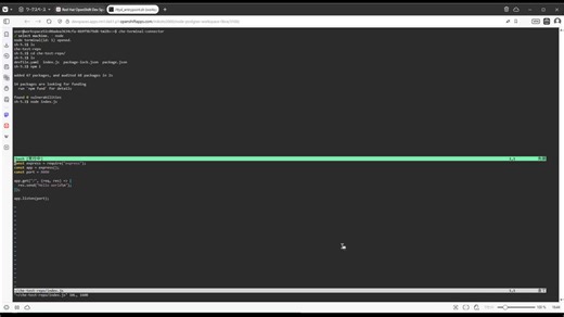 クラウド IDE でサーバーを立ててエンドポイントへ接続 with Vim