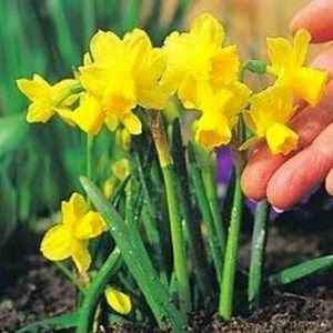 Celebrating British Easter Traditions