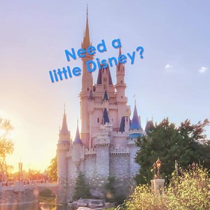 Having a bad day? Need a little magic? Check this out. WDW Magazine brings you a big shot of Disney Magic every month. | WDW Magazine