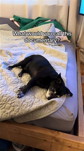 What Would You Call This Documentary?