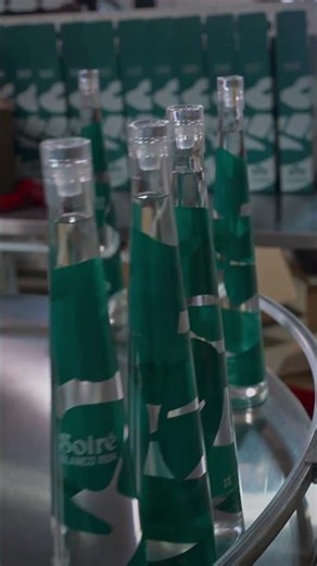 Inside Production: SOIRÉ Blanco Batch 001 bottles ready for packaging 🐍 #BTS #Rum #Distillery