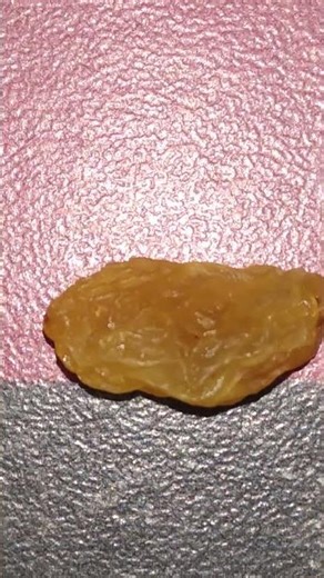 #how raisin look from microscope