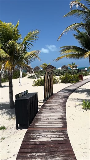 Discover the Beauty of Playa Mujeres, Cancun