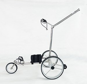 [Hot Item] Electric Golf Cart with Remote Control