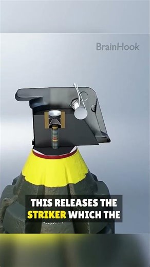 What Actually Happens Inside a Grenade? 💥