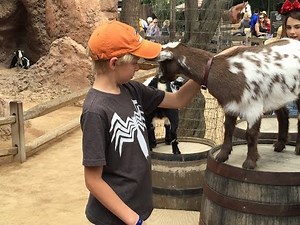 Goat Run at Disneyland