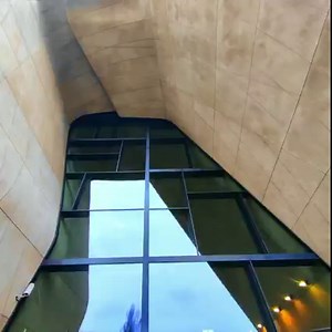 12K views · 225 reactions | We've partnered with @Hasselblad, the legendary camera brand that next-levels the #OPPOFindX5Series experience. 朗  oppo.com/en/smartphones/series-find-x/find-x5-pro/ #EmpowerEveryMoment | OPPO | Facebook