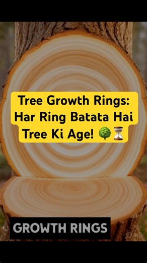 Tree Growth Rings: Har Ring Batata Hai Tree Ki Age! 🌳⏳
