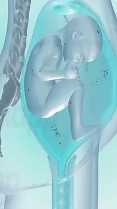 40K views · 420 reactions | Development of Fetus In First Trimester Of Pregnancy! #firstrimester #firsttrimestrepregnancy #fetus | Make Fit Life | Facebook