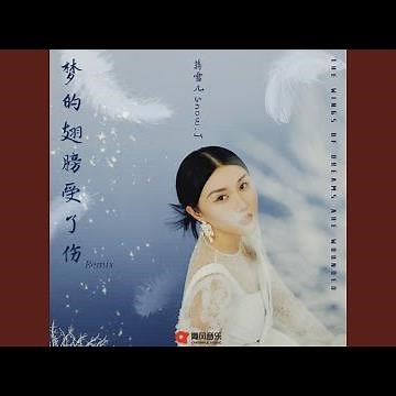 梦的翅膀受了伤 (DJ阿智版)