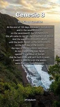 The Flood Subsides: Genesis 8 🤍💛 #faith #hope #love #bible