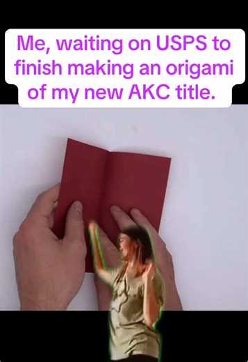 USPS Delays: The Journey of My AKC Title