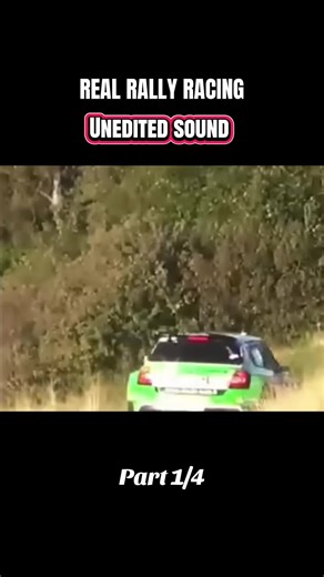 Pure rally sounds. #rallycar #offroad #rallyracing #rally #cars