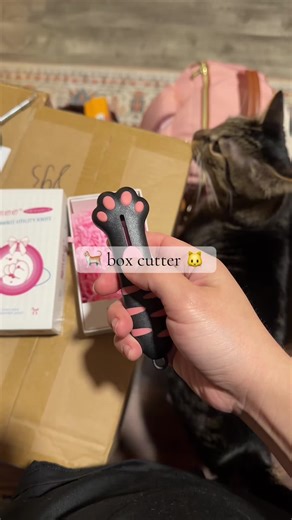 Such a nice box cutter. Cuts boxes so easily #boxes #boxcutter #mailtime #unboxing #catlover