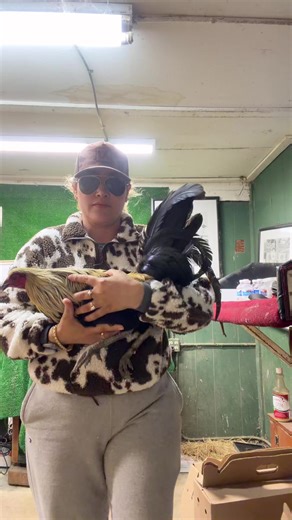 Spring Grove sarai y Roberto (@sarairamirez0026)’s videos with sonido original - 𝕲𝖆𝖗𝖟𝖆🍀